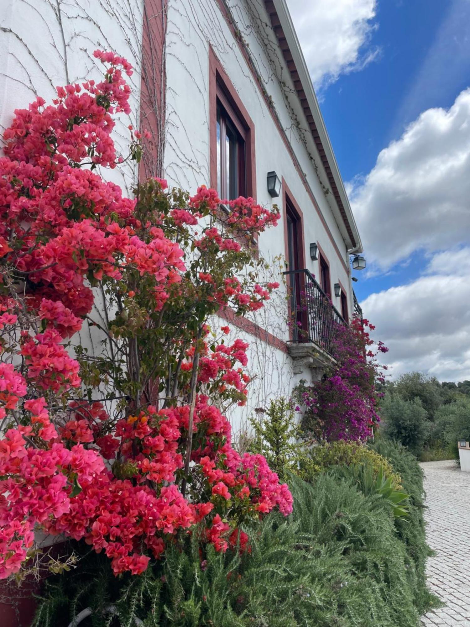شقة Quinta Da Asneira مونتمور - أو - نوفو المظهر الخارجي الصورة