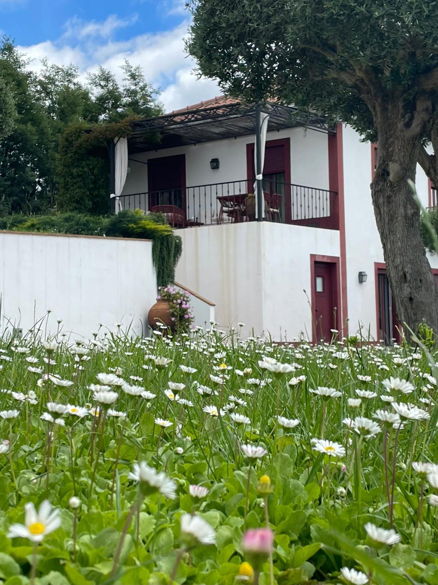 شقة Quinta Da Asneira مونتمور - أو - نوفو المظهر الخارجي الصورة